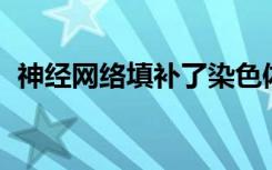 神经网络填补了染色体空间分析的数据空白