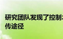 研究团队发现了控制木蚂蚁社交行为的表观遗传途径