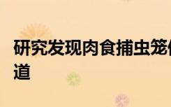 研究发现肉食捕虫笼偶尔会闻到脊椎动物的味道