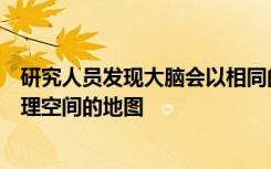 研究人员发现大脑会以相同的方式构建和使用社交网络与物理空间的地图