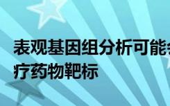 表观基因组分析可能会导致许多疾病的新型治疗药物靶标