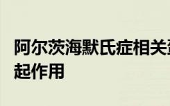 阿尔茨海默氏症相关蛋白可能在精神分裂症中起作用