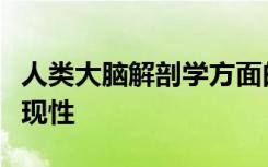 人类大脑解剖学方面的性别差异具有高度可再现性