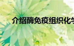 介绍酶免疫组织化学技术的应用有什么