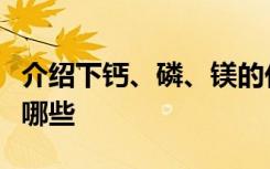 介绍下钙、磷、镁的代谢及调节知识点小结有哪些