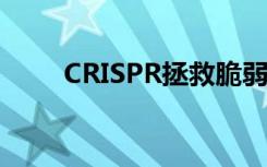 CRISPR拯救脆弱的X综合征神经元