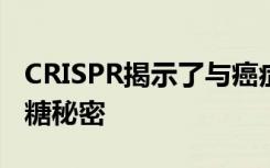 CRISPR揭示了与癌症相关的Notch蛋白的含糖秘密