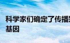 科学家们确定了传播致命的非洲昏睡病的关键基因