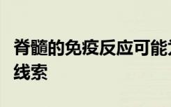 脊髓的免疫反应可能为治疗神经系统疾病提供线索