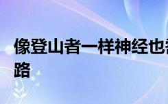 像登山者一样神经也需要专家指导才能找到出路