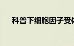 科普下细胞因子受体分类具体是怎样的