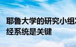 耶鲁大学的研究小组发现在抵抗肠道感染中神经系统是关键