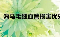 海马毛细血管损害优先于早期认知功能障碍