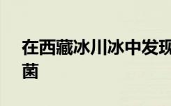 在西藏冰川冰中发现了15000年的病毒和细菌