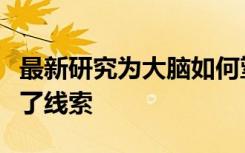 最新研究为大脑如何塑造知觉来控制行为提供了线索