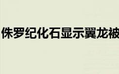 侏罗纪化石显示翼龙被软食的头足类动物捕食