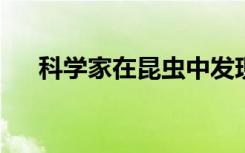 科学家在昆虫中发现了数百种新型病毒