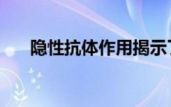 隐性抗体作用揭示了埃博拉家族的K石