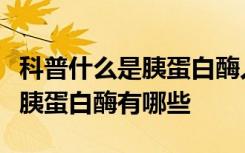 科普什么是胰蛋白酶人类胰腺细胞合成的主要胰蛋白酶有哪些