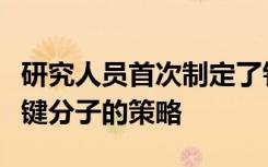 研究人员首次制定了针对帕金森氏病有关的关键分子的策略