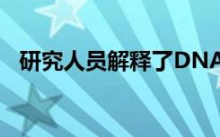 研究人员解释了DNA中CpG交通灯的信号