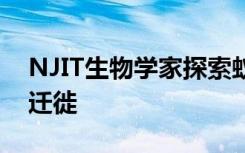 NJIT生物学家探索蚁群以更好地了解人类的迁徙