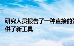 研究人员报告了一种直接的蛋白质修饰方法 为蛋白质工程提供了新工具