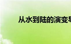 从水到陆的演变导致了更好的养育