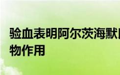 验血表明阿尔茨海默氏病对神经细胞丢失的药物作用