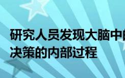 研究人员发现大脑中的多巴胺神经元调节经济决策的内部过程