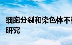 细胞分裂和染色体不稳定过程中的溶酶体功能研究