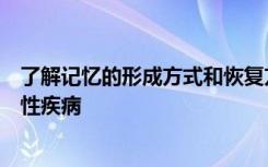 了解记忆的形成方式和恢复方式可应用于神经病和神经退行性疾病