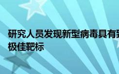 研究人员发现新型病毒具有致命弱点 会成为抑制剂或新药的极佳靶标