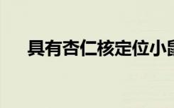 具有杏仁核定位小鼠大脑的解剖学概述