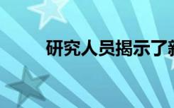 研究人员揭示了新的ALS治疗策略