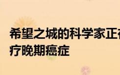 希望之城的科学家正在使用联合免疫疗法来治疗晚期癌症