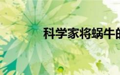 科学家将蜗牛的记忆移植成功