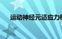 运动神经元适应力模型可促进ALS研究