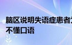 脑区说明失语症患者为何能听懂书面文字但听不懂口语