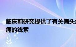 临床前研究提供了有关偏头痛的来源以及药物如何阻止偏头痛的线索