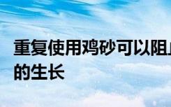 重复使用鸡砂可以阻止诸如沙门氏菌等病原体的生长