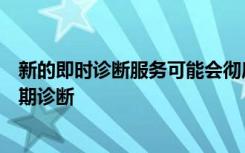 新的即时诊断服务可能会彻底改变地中海立克次病斑热的早期诊断