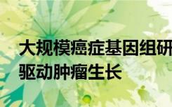 大规模癌症基因组研究揭示了DNA错误如何驱动肿瘤生长