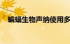 蝙蝠生物声纳使用多普勒变速来追踪猎物