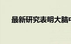 最新研究表明大脑中神经元的多路复用