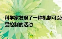 科学家发现了一种机制可以保护我们的身体免受免疫系统不受控制的活动