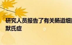 研究人员报告了有关肠道细菌和脂质代谢如何影响阿尔茨海默氏症