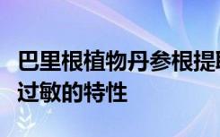 巴里根植物丹参根提取物被发现具有潜在的抗过敏的特性