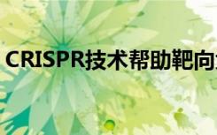 CRISPR技术帮助靶向大脑中的情绪增强受体