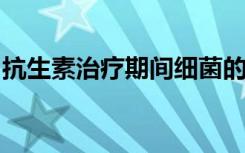 抗生素治疗期间细菌的休眠细胞破坏宿主防御